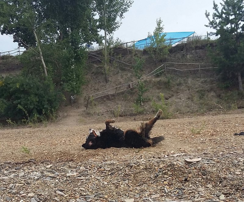 20180720_160107-1.jpg