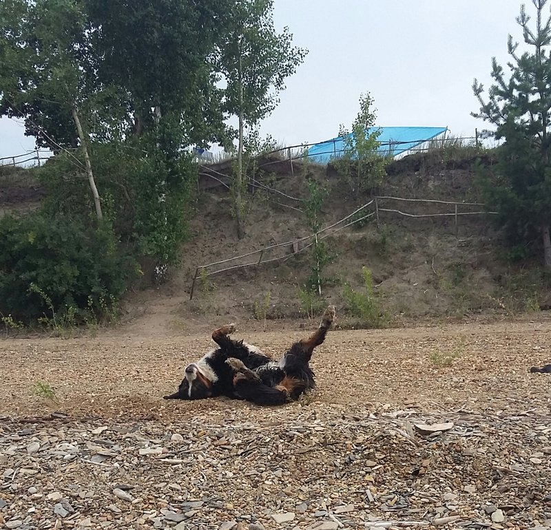 20180720_160109-1.jpg