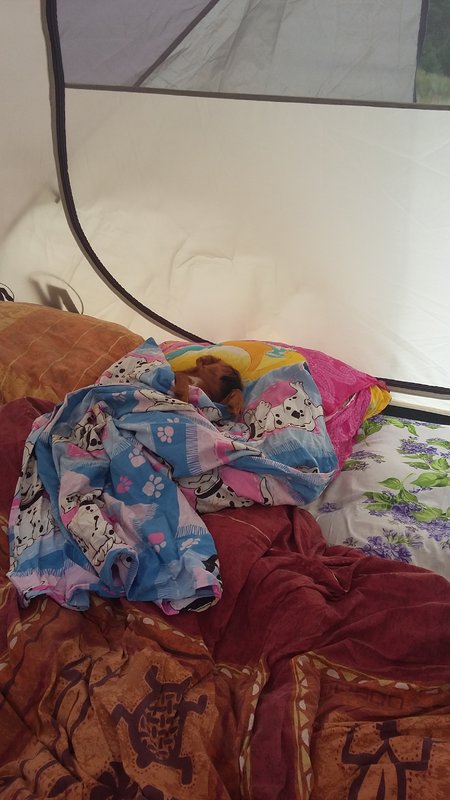 20180721_165329.jpg