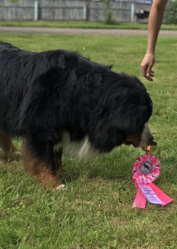 20180723_231229.jpg