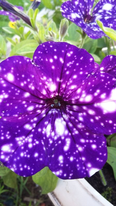 20180801_183818.jpg