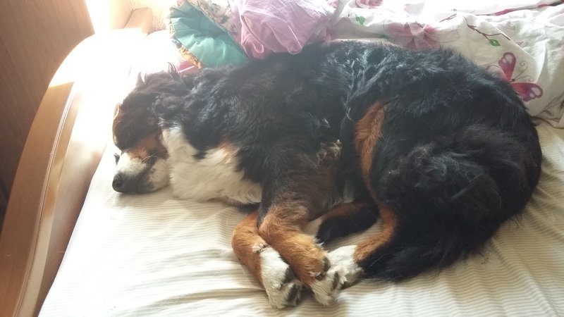 20180803_093017.jpg