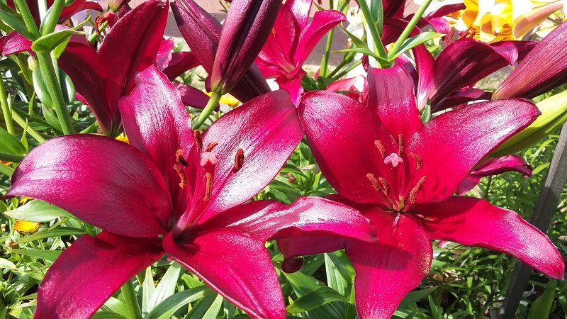 20180803_140606.jpg