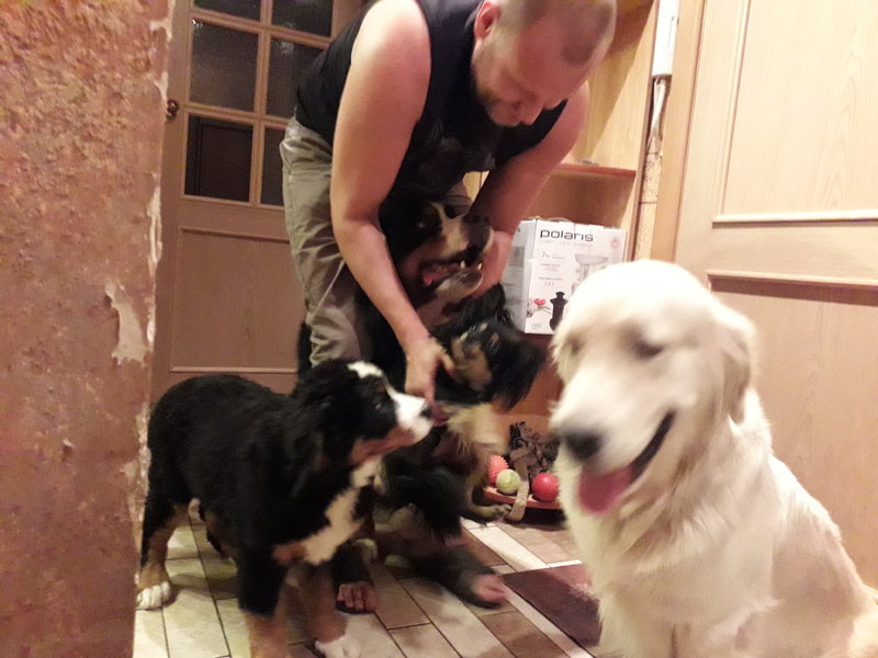 20180811_042846.jpg