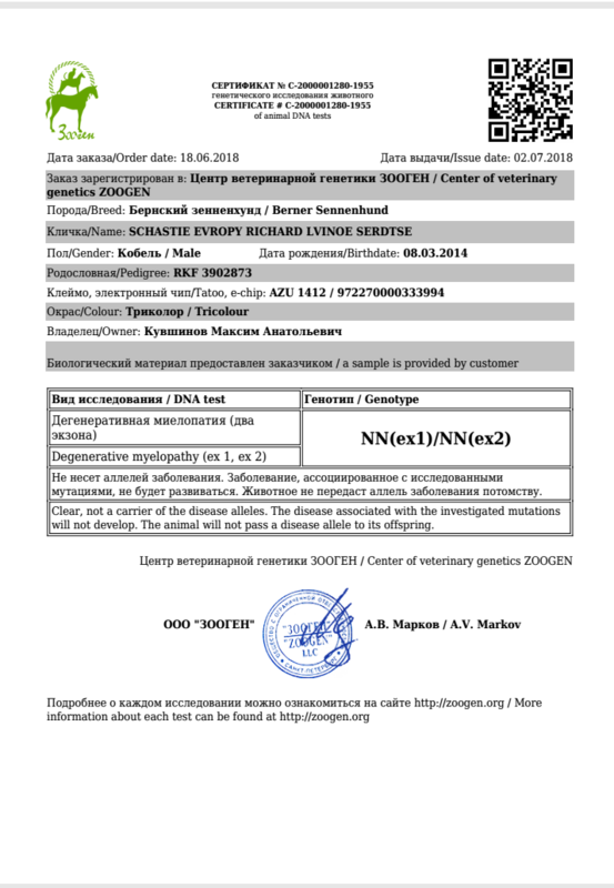 20180813_131925.png