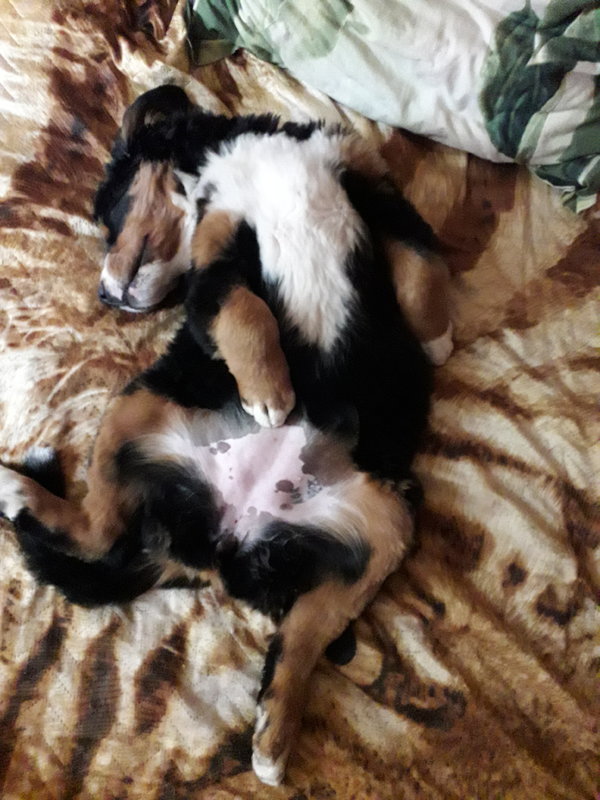 20180813_155616.jpg