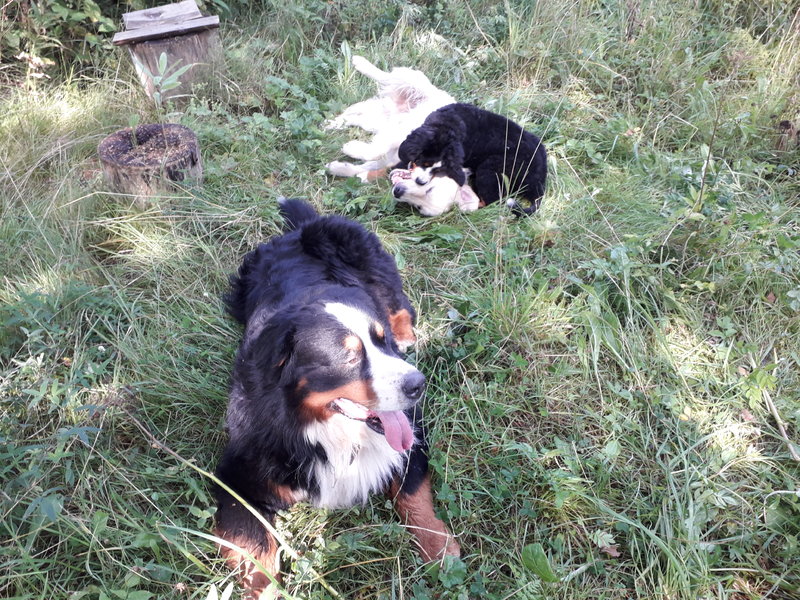 20180814_113306.jpg