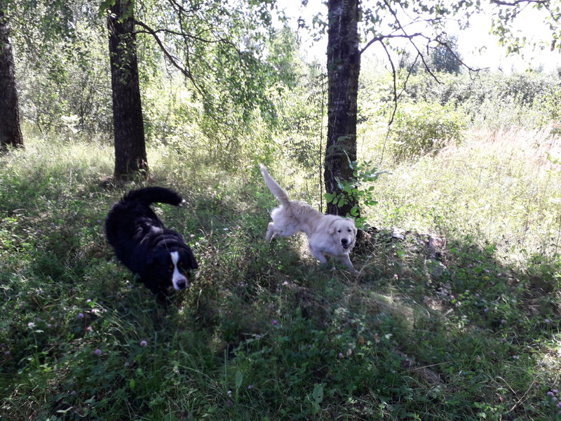 20180814_113334.jpg