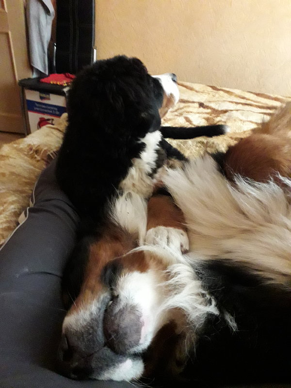 20180824_171615.jpg