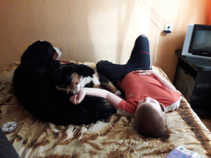 20180824_171859.jpg