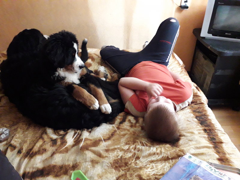 20180824_172026.jpg