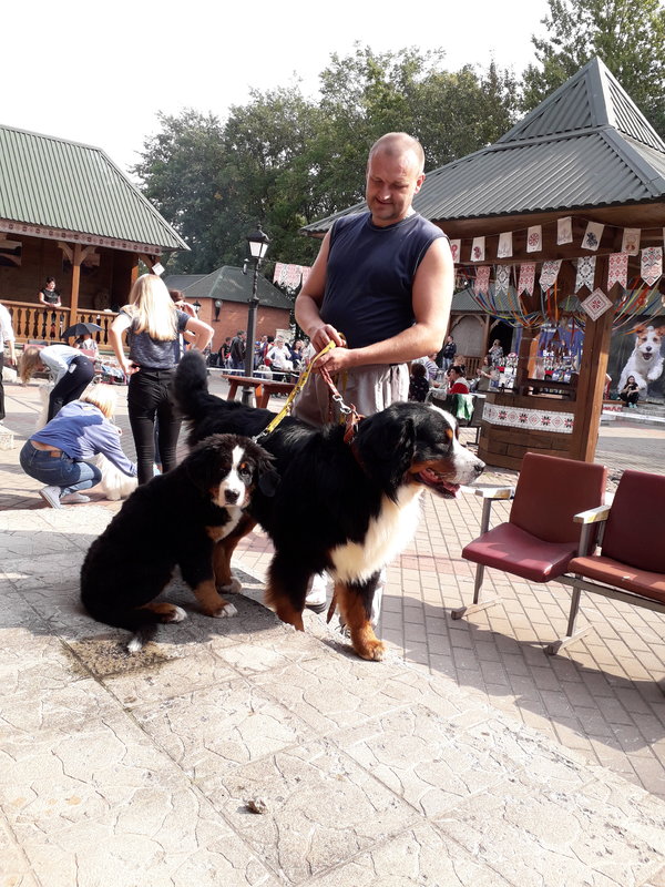 20180902_102618.jpg