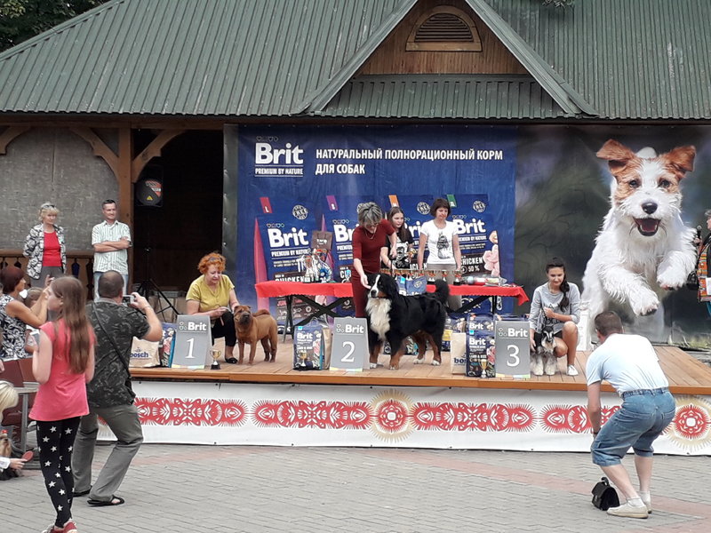 20180902_164351.jpg