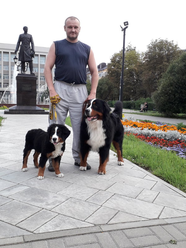 20180902_190953.jpg