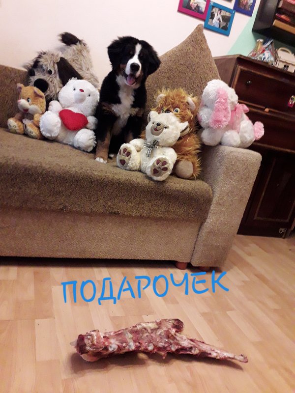 20180910_103823.jpg