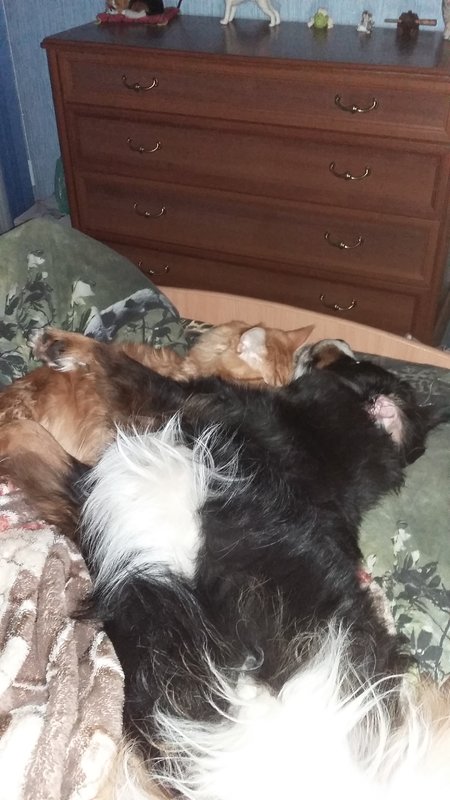 20180914_072400.jpg