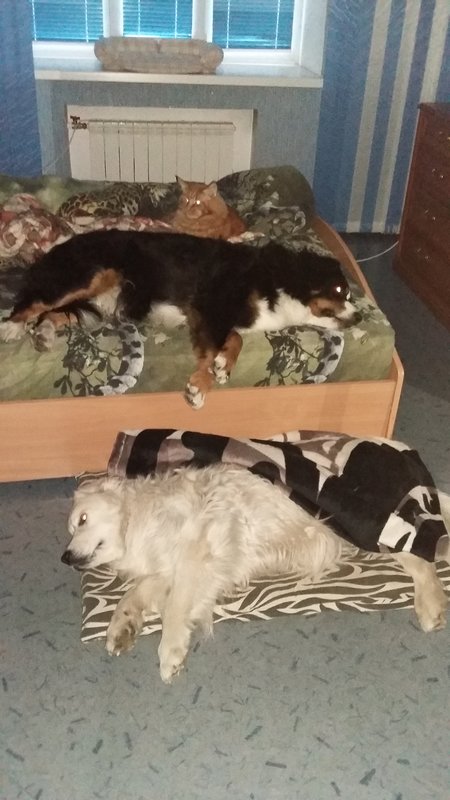 20180914_073132.jpg