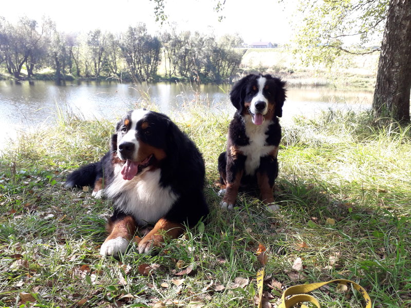 20180920_111834.jpg