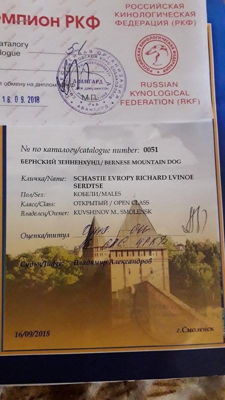 20180921_080732.jpg