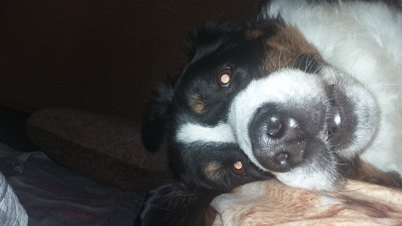 20180923_095159.jpg