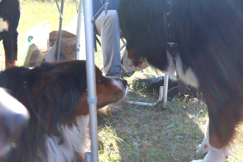 20180924_222945.jpg