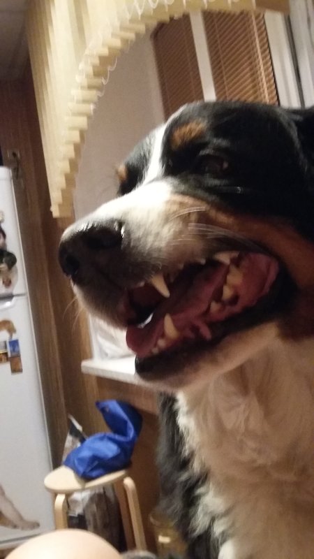 20180926_230445.jpg
