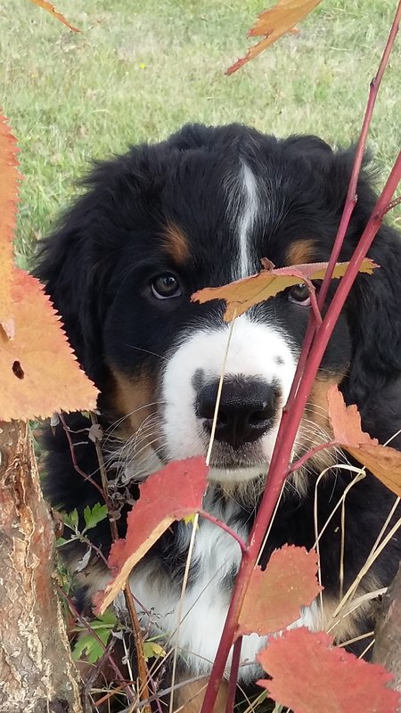 20181001_102215.jpg
