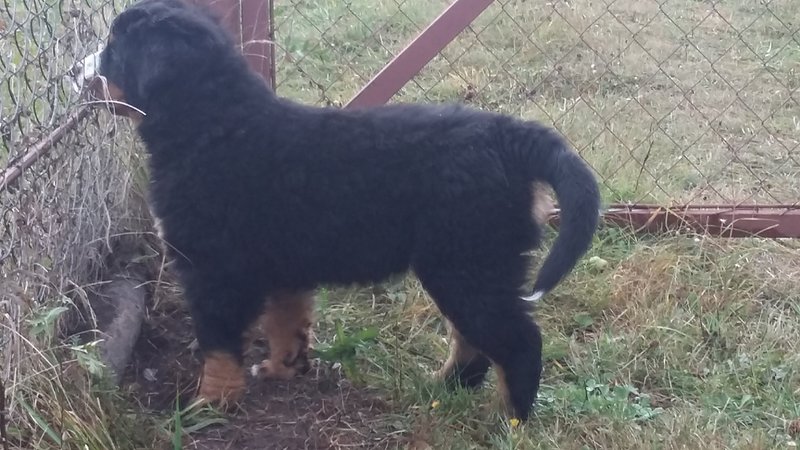 20181004_110737.jpg