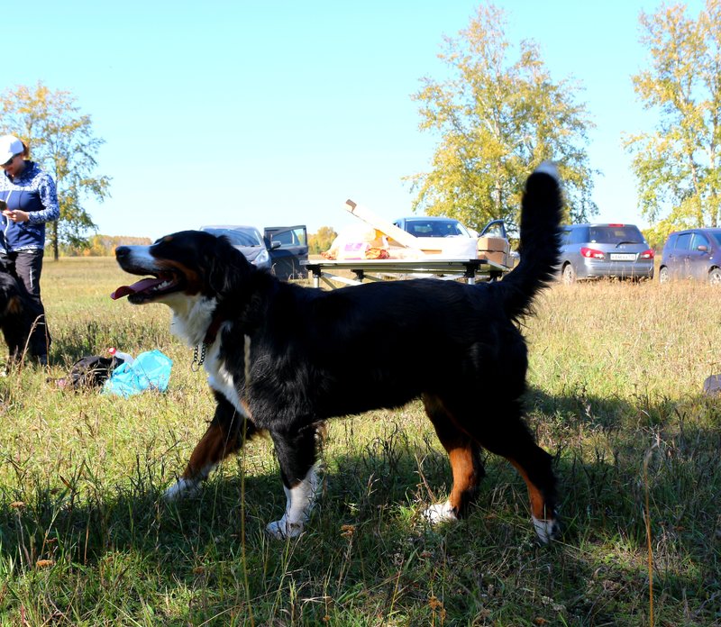 20181004_224552.jpg