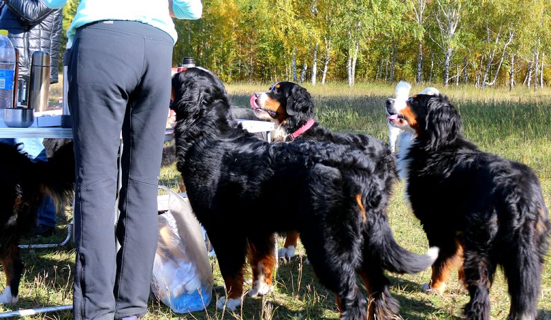 20181004_234940.jpg
