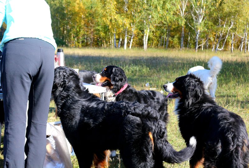 20181004_234953.jpg