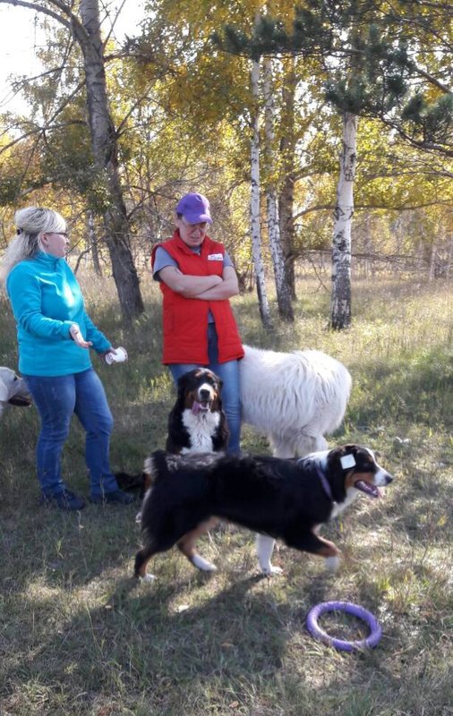 20181004_235511.jpg