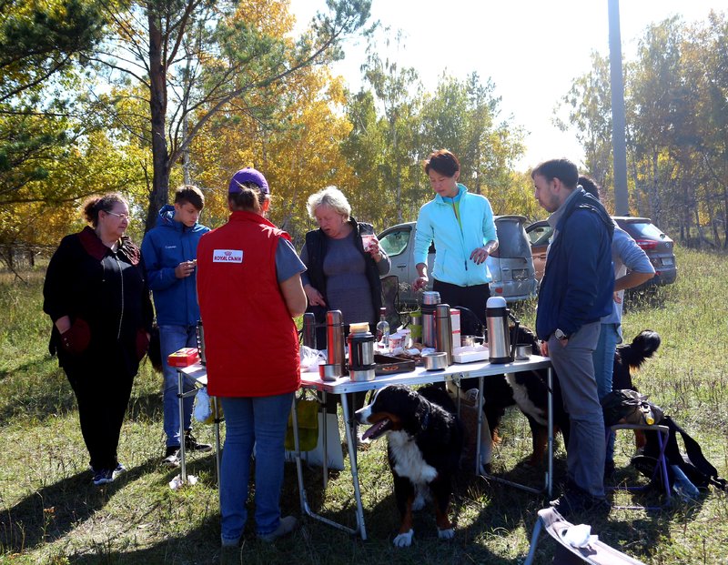 20181004_235704.jpg