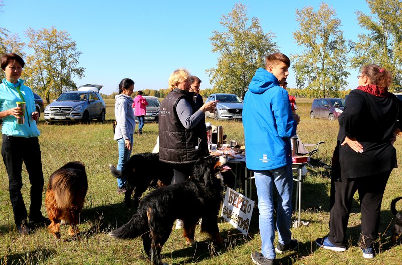20181004_235717.jpg