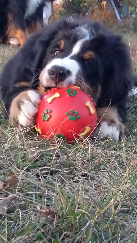 20181017_163311.jpg