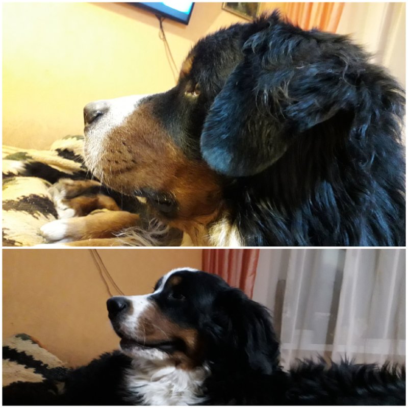 20181117_222253.jpg