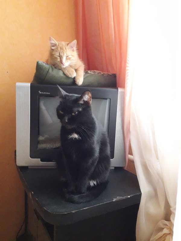20181130_112457.jpg