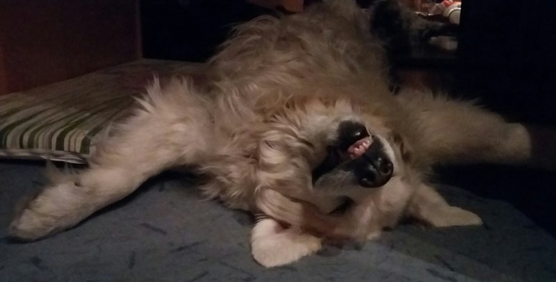 20181130_174833-1.jpg