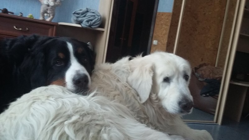 20181202_121904.jpg