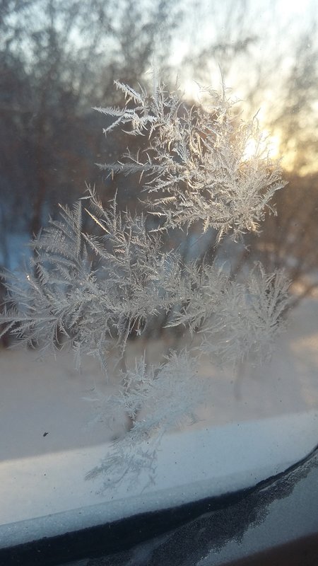 20181206_100340.jpg