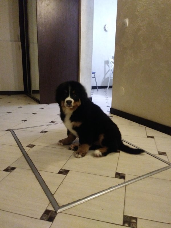 20181208_075647.jpg