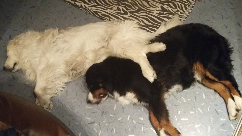 20181209_051241.jpg