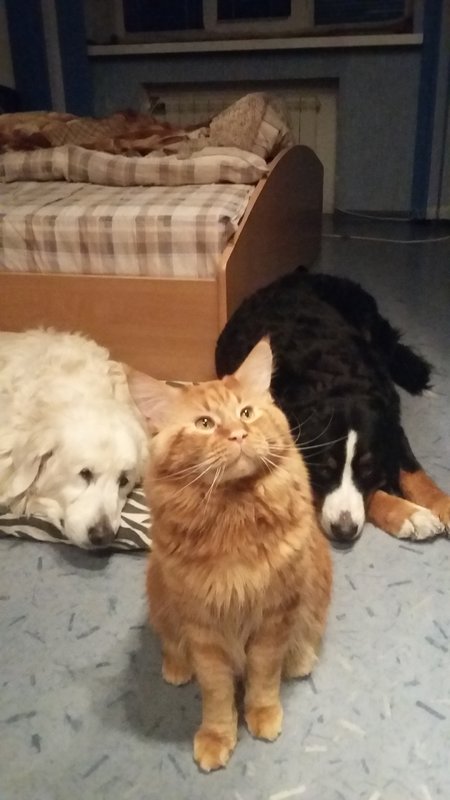 20181214_021452.jpg