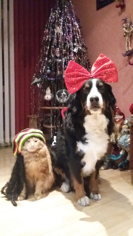 20181228_180525.jpg