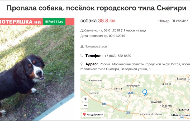 20190103_174401.jpg