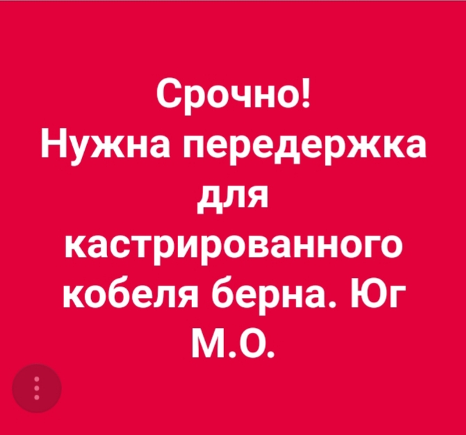 20190108_113109.jpg