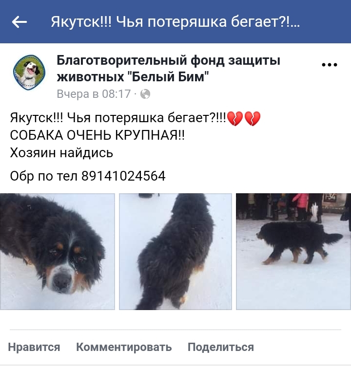20190108_220707.jpg