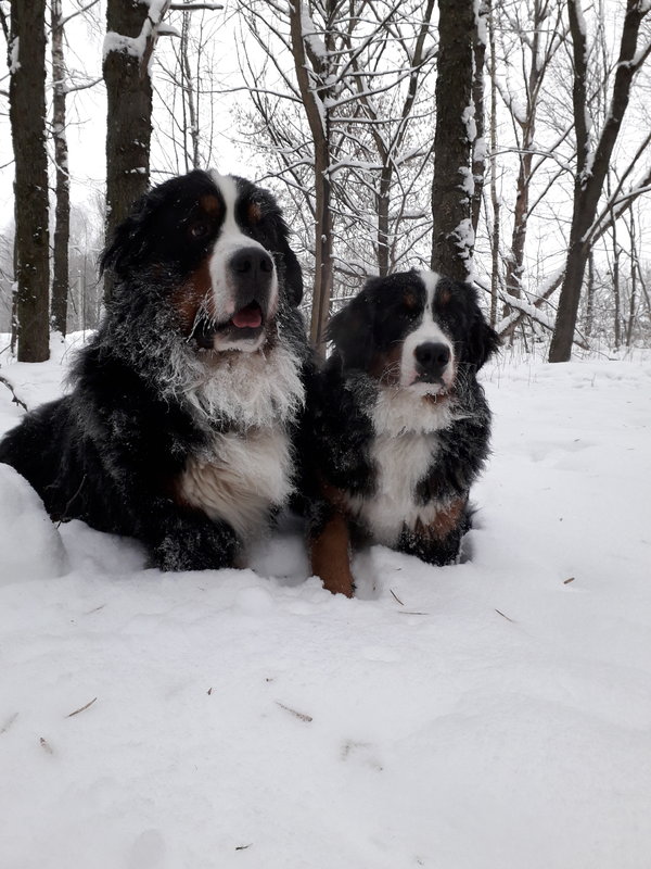 20190111_093647.jpg