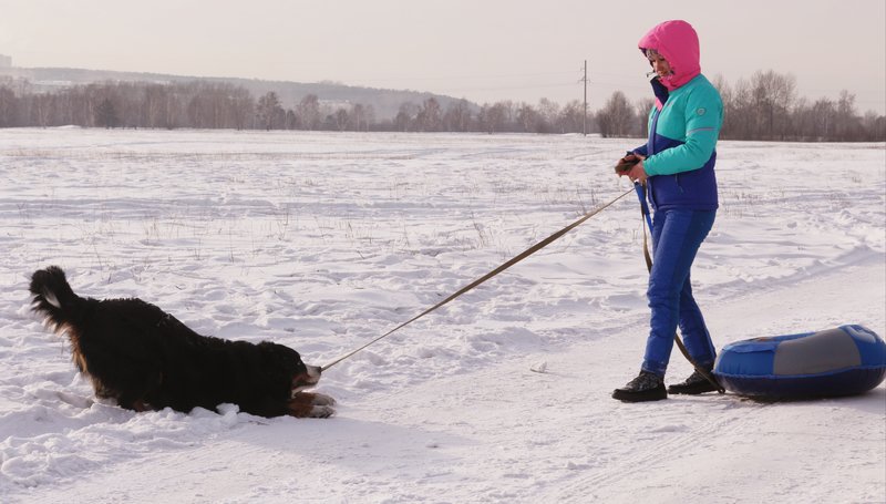 20190112_193457.jpg