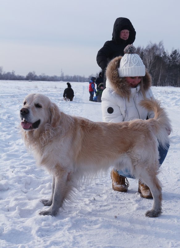 20190112_194013.jpg